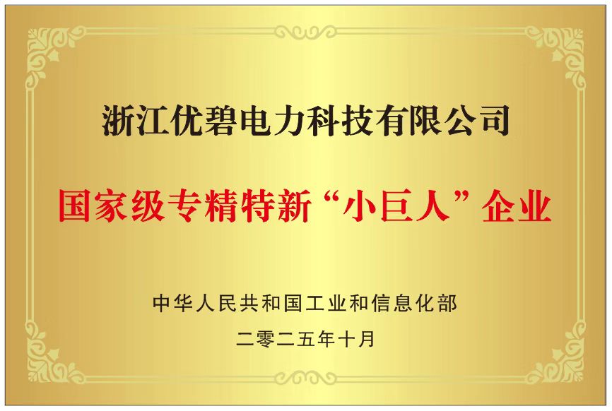 国家级专精特新“小巨人”企业